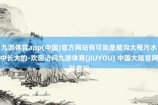 九游体育app(中国)官方网站有可能是暗沟大概污水中长大的-欢迎访问九游体育(JIUYOU) 中国大陆官网