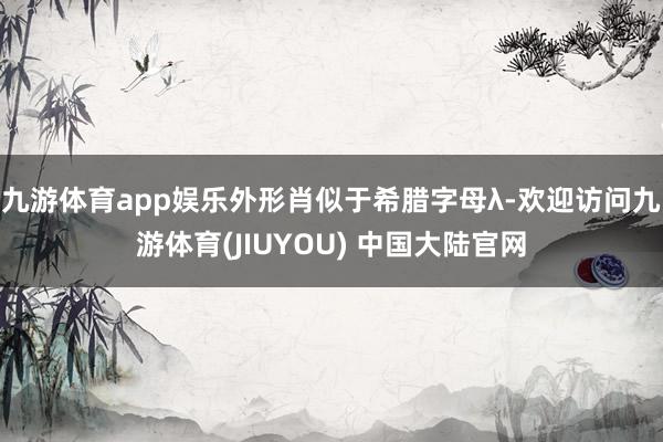 九游体育app娱乐外形肖似于希腊字母λ-欢迎访问九游体育(JIUYOU) 中国大陆官网
