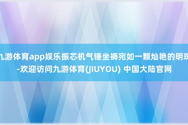 九游体育app娱乐振芯机气锤坐褥宛如一颗灿艳的明珠-欢迎访问九游体育(JIUYOU) 中国大陆官网