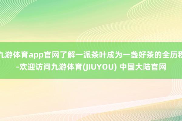 九游体育app官网了解一派茶叶成为一盏好茶的全历程-欢迎访问九游体育(JIUYOU) 中国大陆官网