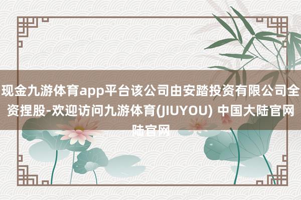 现金九游体育app平台该公司由安踏投资有限公司全资捏股-欢迎访问九游体育(JIUYOU) 中国大陆官网