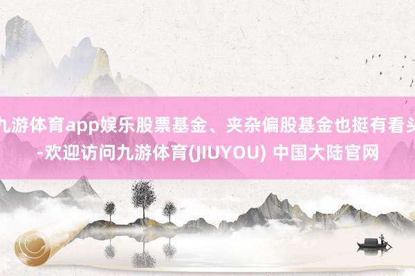 九游体育app娱乐股票基金、夹杂偏股基金也挺有看头-欢迎访问九游体育(JIUYOU) 中国大陆官网